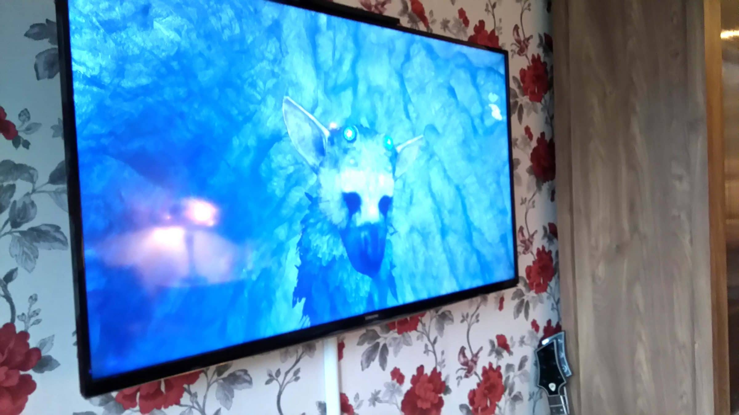 Featured Image for Wilson Family: Discover Pet Care with The Last Guardian 