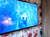 Thumbnail Image for Wilson Family: Discover Pet Care with The Last Guardian 